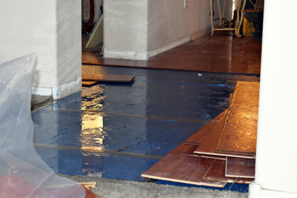 Professional Emergency Water Damage Restoration technician working in Saint James City, FL